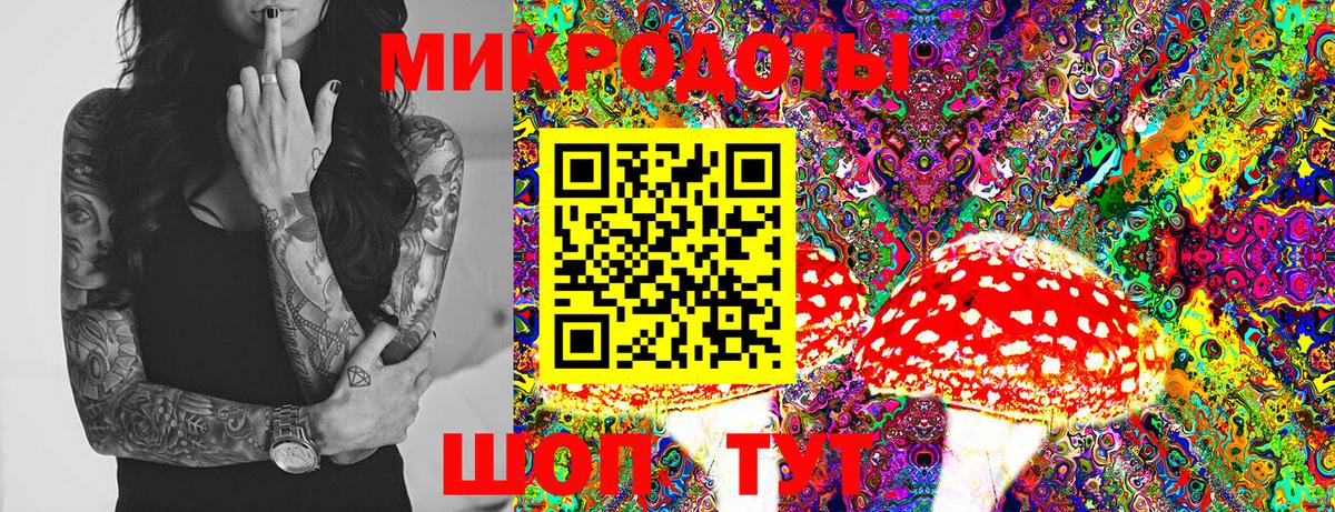 Галлюциногенные грибы GOLDEN TEACHER  Вход с VPN  Ефремов  Галлюциногенные грибы ЛСД 
