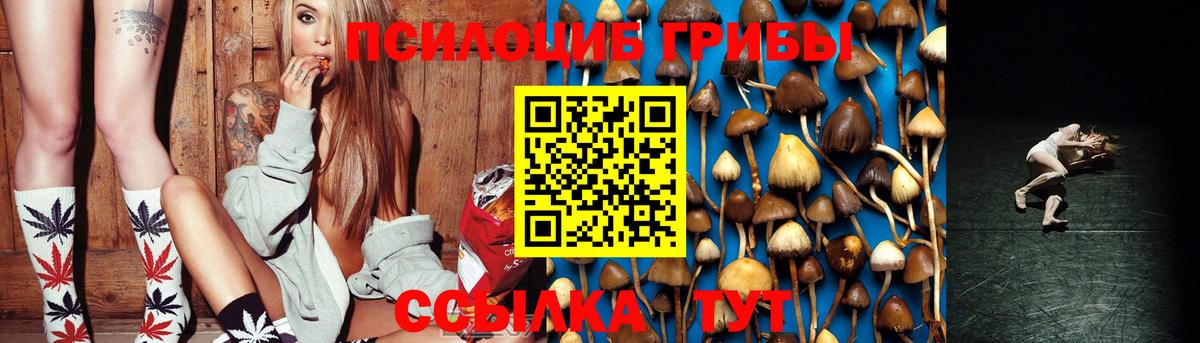 Псилоцибиновые грибы Psilocybine cubensis Ефремов
